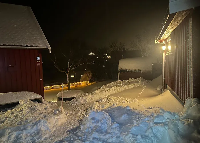 Reinefjord Panorama