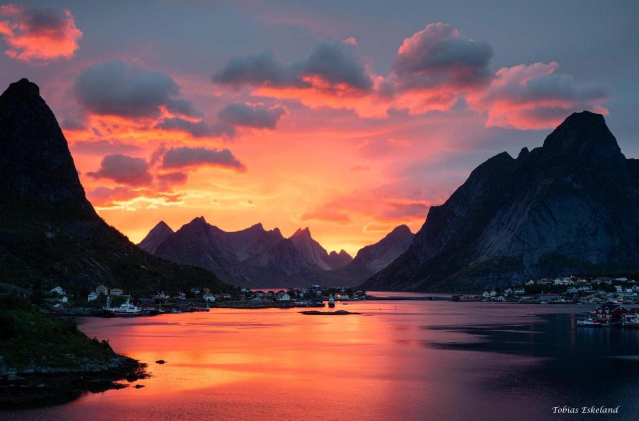 Reinefjord Panorama