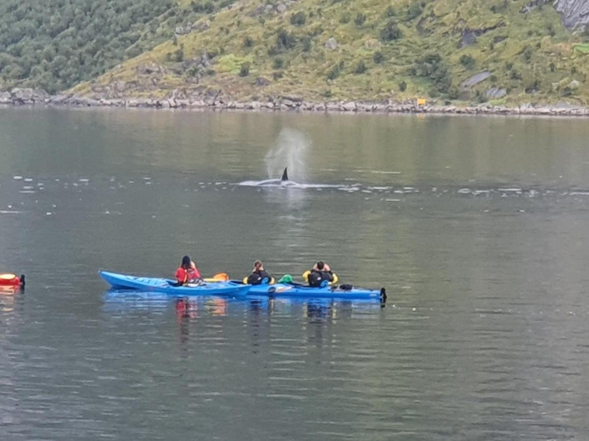 Reinefjord Panorama * Moskenes