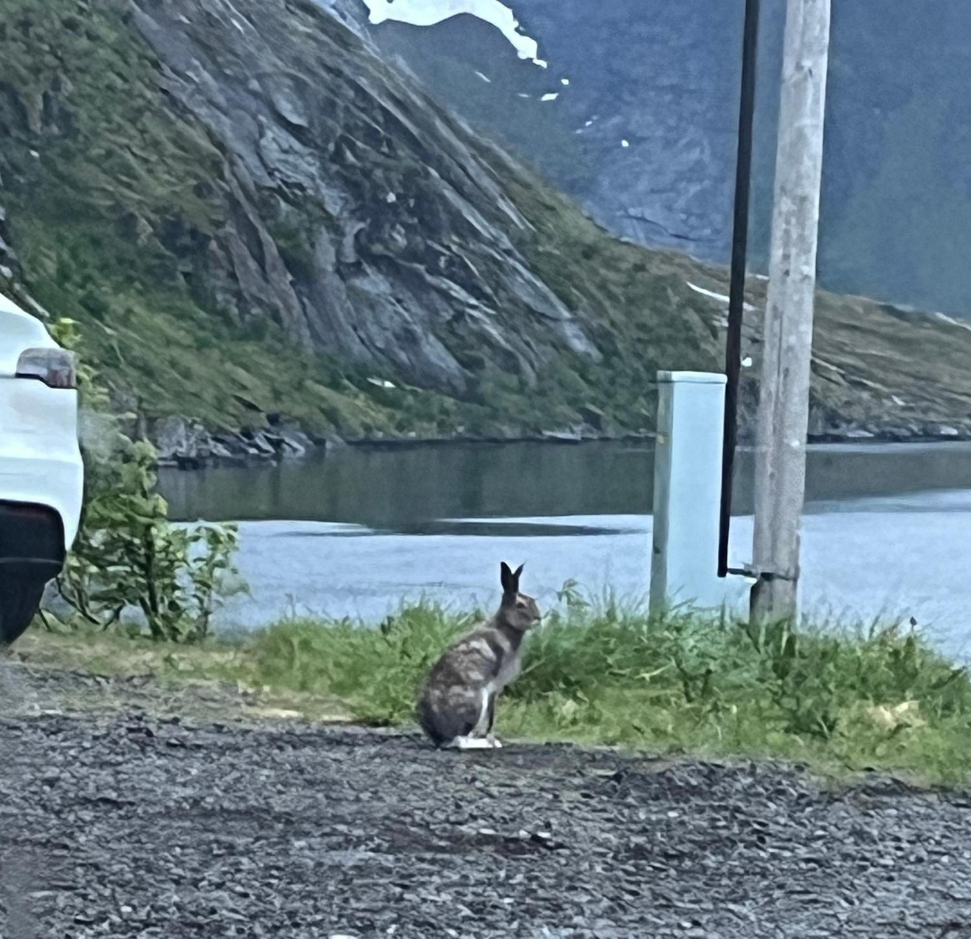 Reinefjord Panorama Feriehus