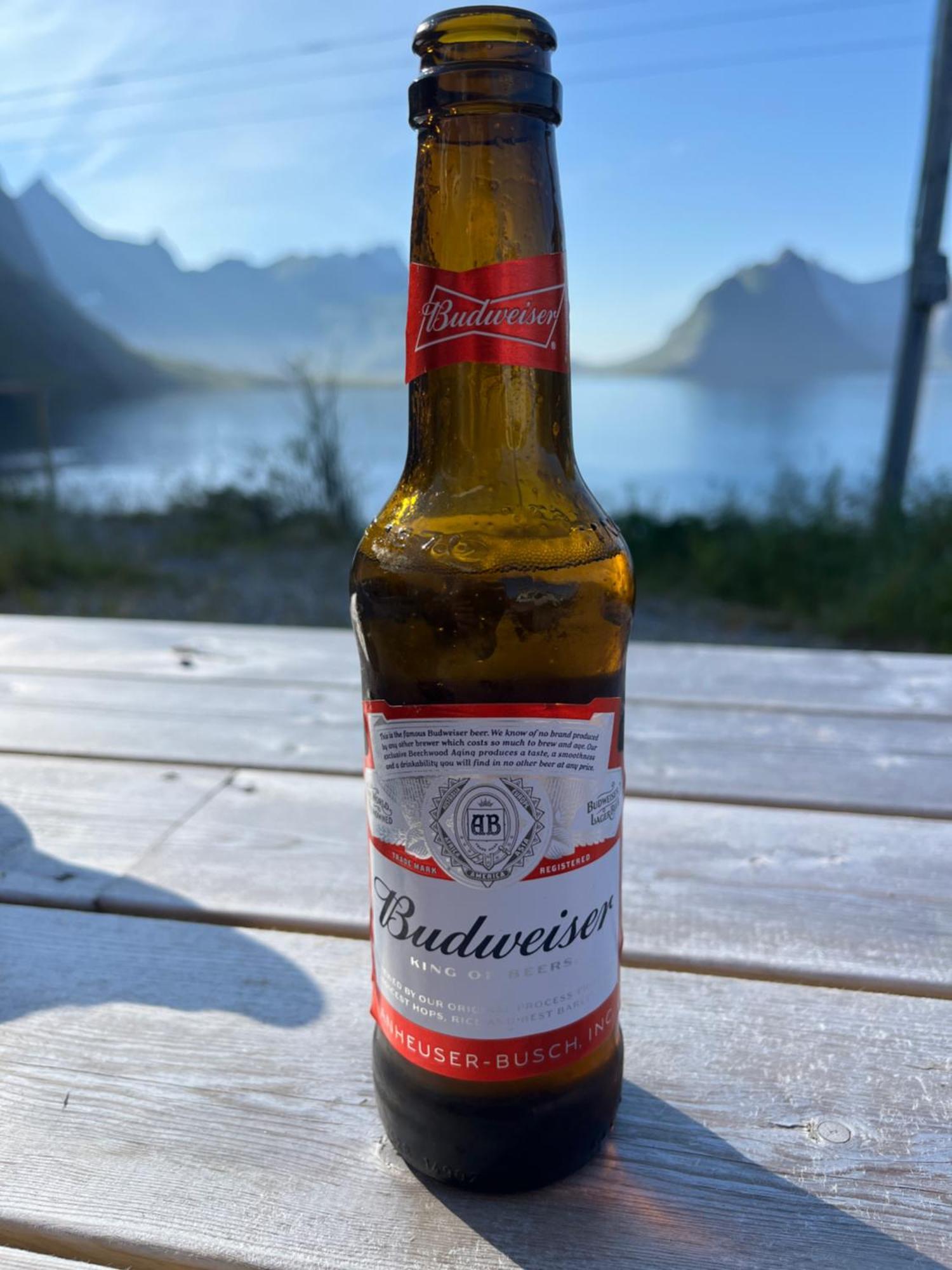Reinefjord Panorama * Moskenes